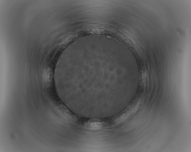 X0000115270228200911131814