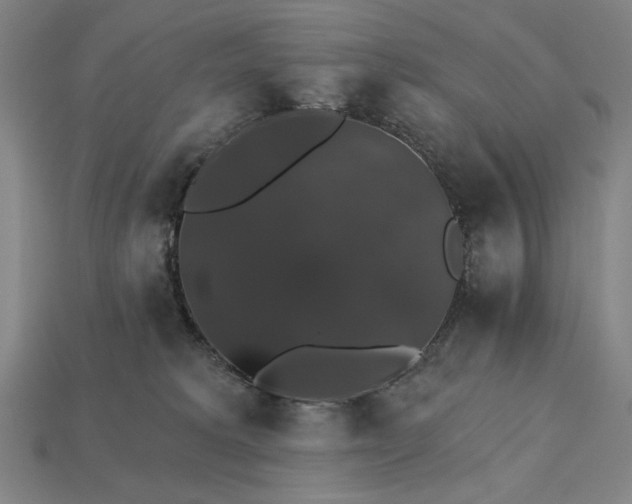 X0000115270229200911131814