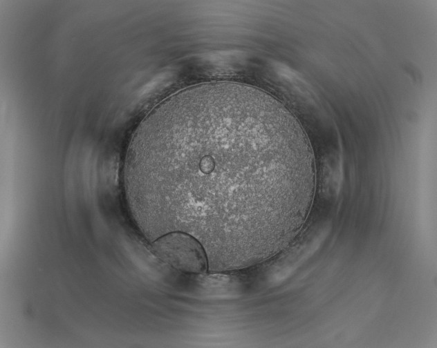 X0000115270230200911131814
