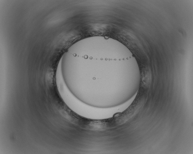 X0000115270231200911131814
