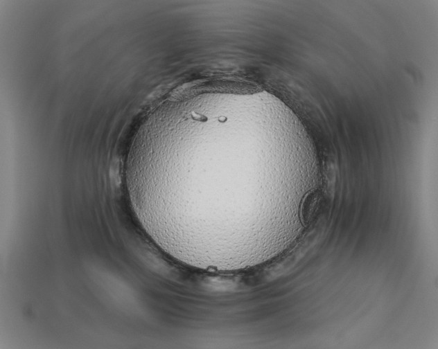 X0000115270232200911131814
