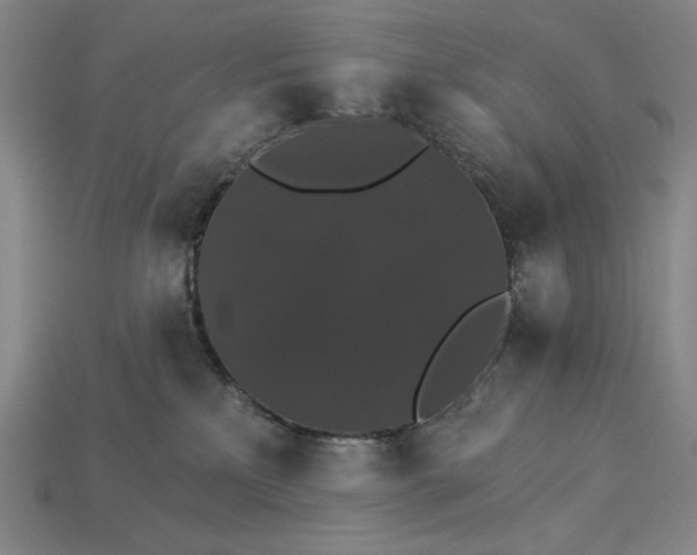X0000115270233200911131814