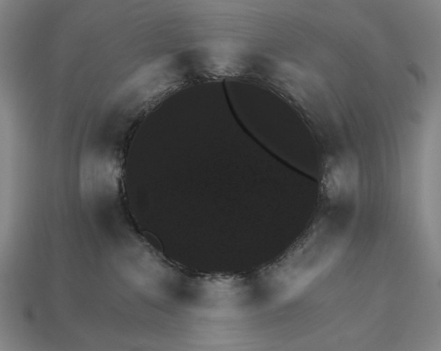 X0000115270235200911131814