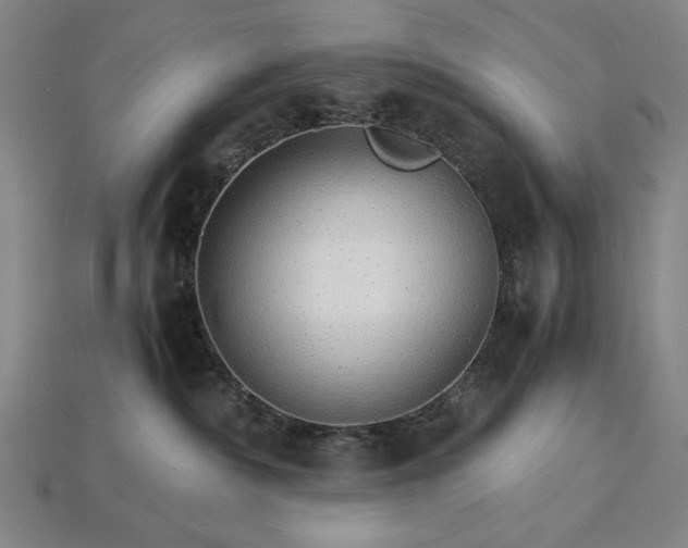 X0000115270236200911131814