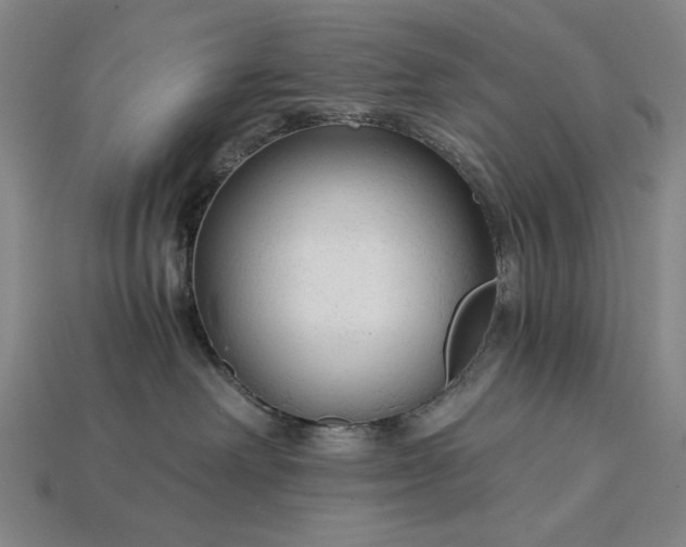X0000115270238200911131814
