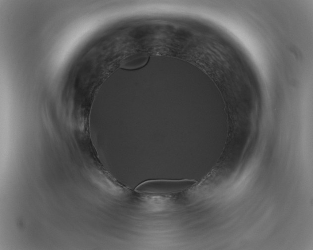 X0000115270239200911131814