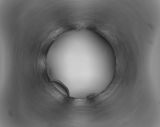 X0000115270240200911131814