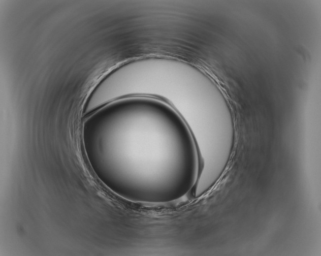 X0000115270241200911131813
