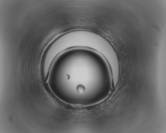 X0000115270243200911131813