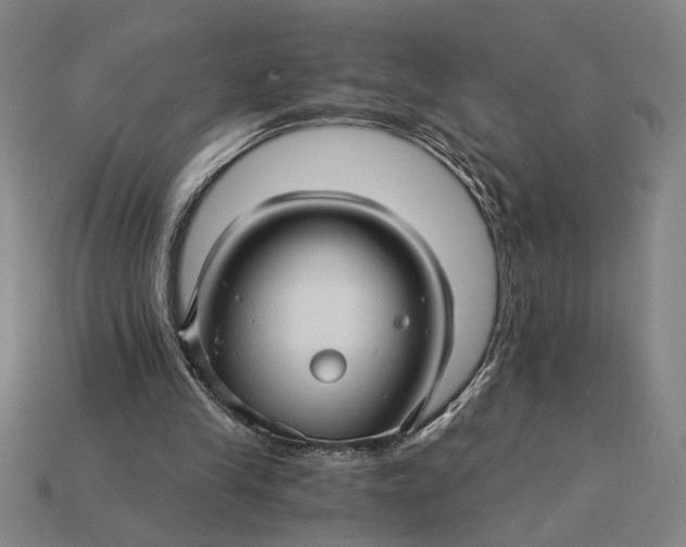 X0000115270245200911131813