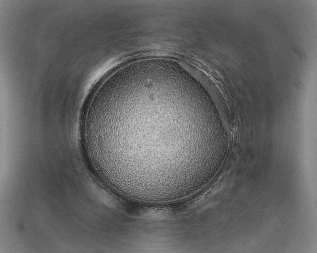 X0000115270248200911131813