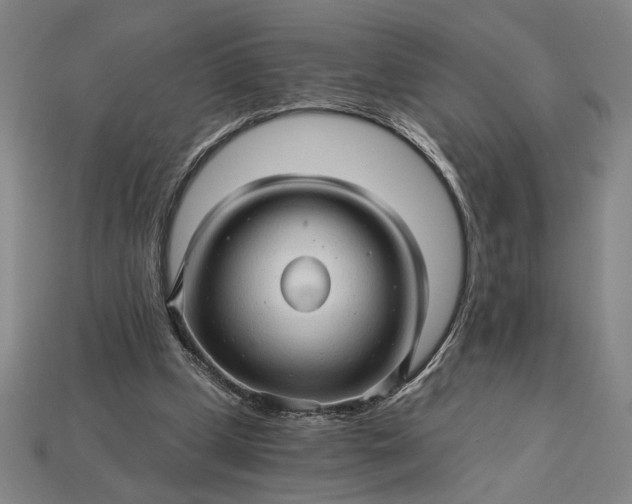 X0000115270249200911131813