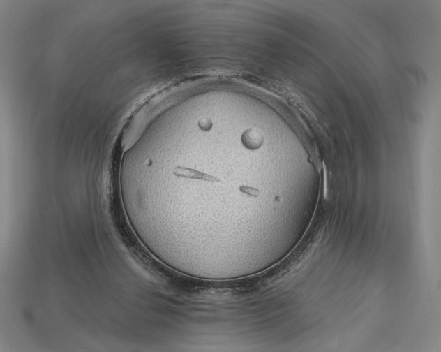 X0000115270252200911131813