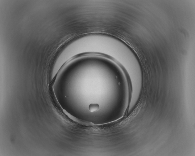 X0000115270253200911131814