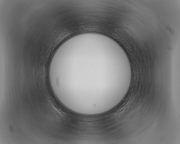 X0000115270255200911131814