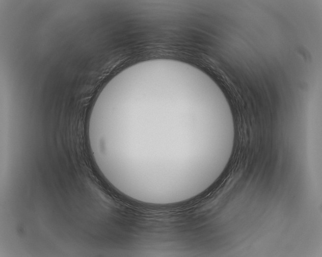 X0000115270259200911131814