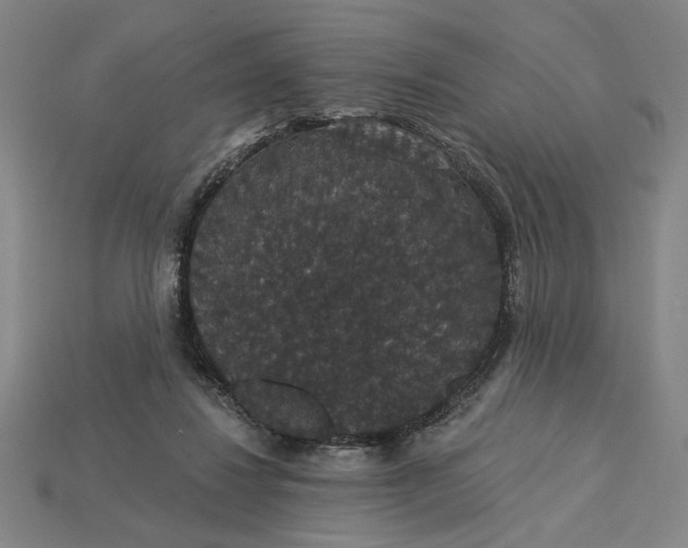 X0000115270260200911131814