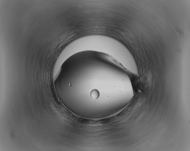 X0000115270263200911131814