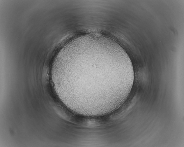 X0000115270264200911131814