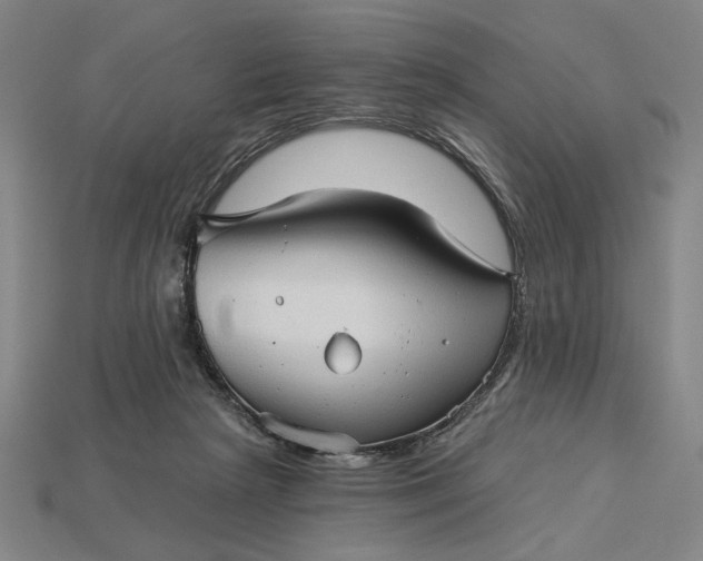 X0000115270265200911131814