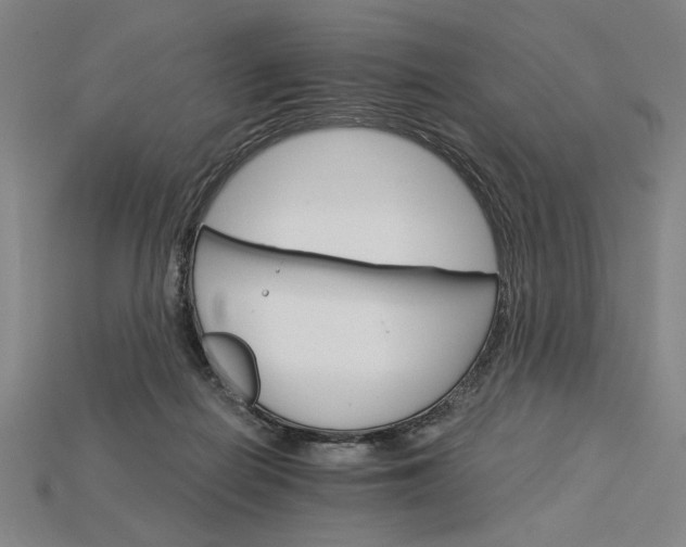 X0000115270266200911131814