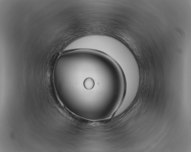 X0000115270269200911131814