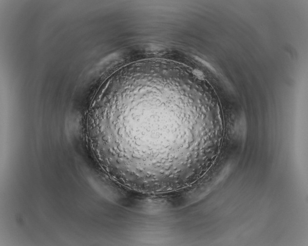 X0000115270270200911131814