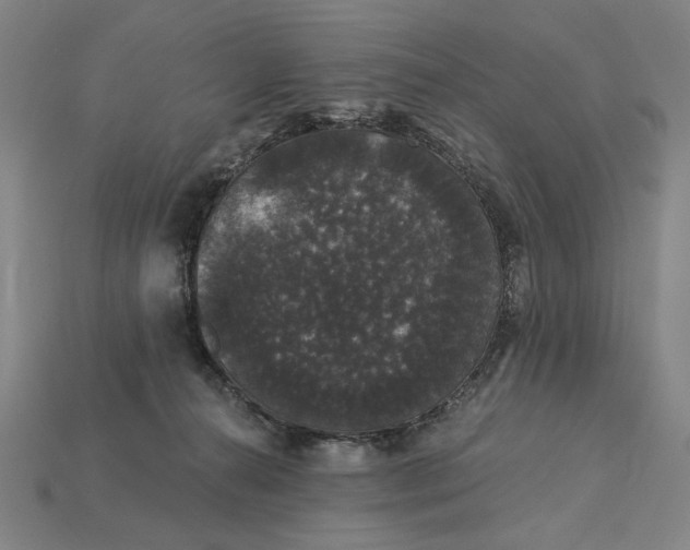 X0000115270272200911131814