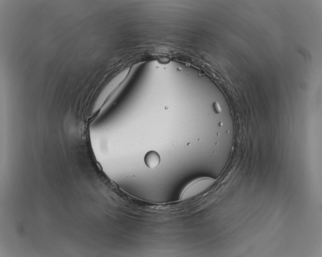 X0000115270273200911131814