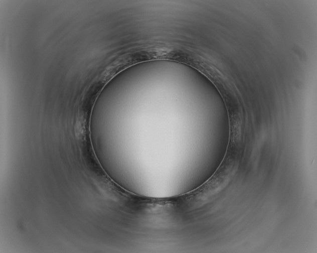 X0000115270274200911131814