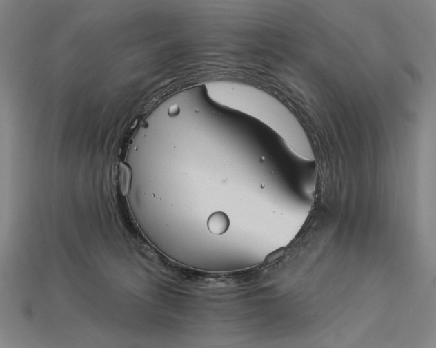 X0000115270275200911131814