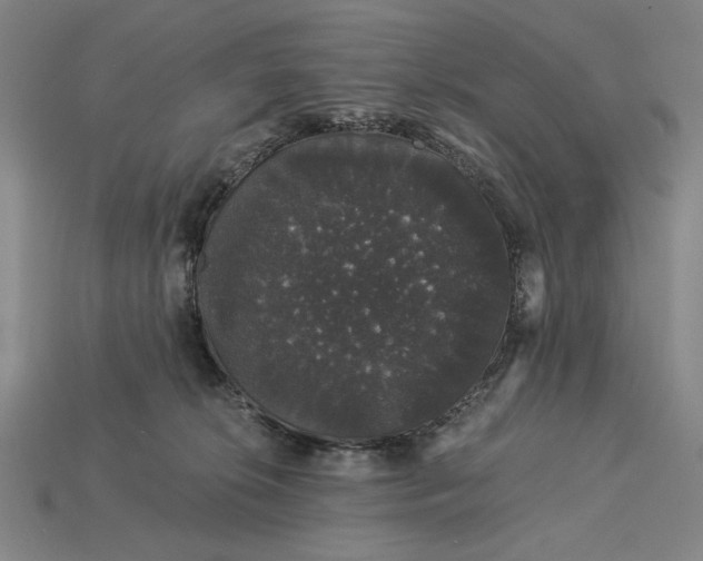 X0000115270276200911131814