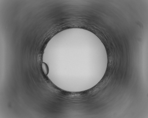 X0000115270278200911131814