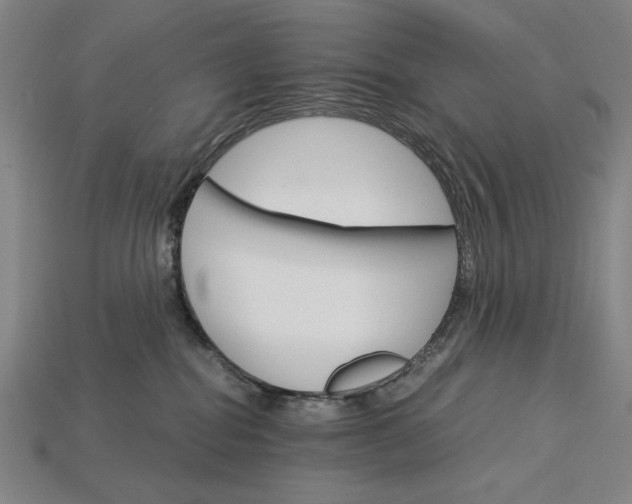 X0000115270282200911131814
