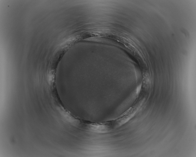 X0000115270284200911131814
