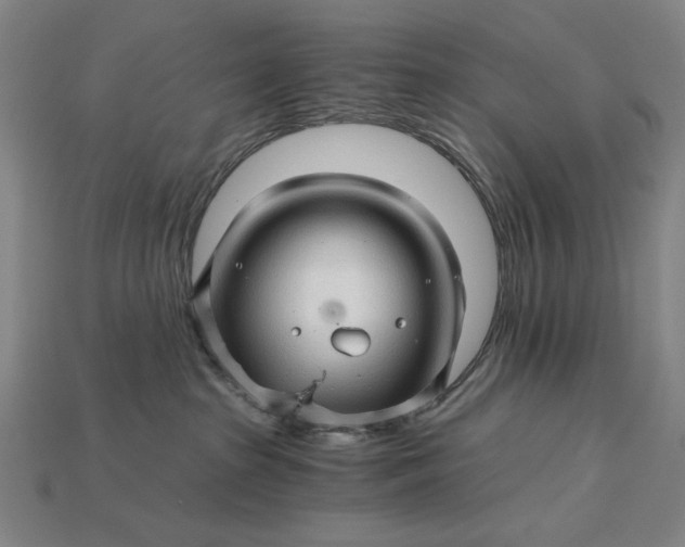 X0000115270285200911131814