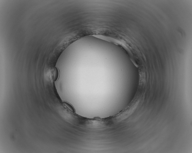 X0000115270286200911131814