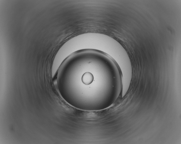 X0000115270287200911131814
