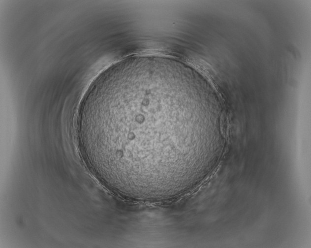 X0000115270289200911131813