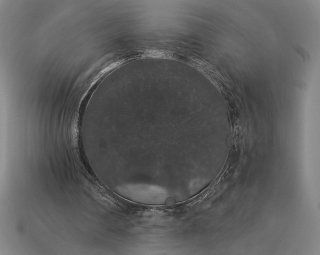 X0000115270290200911131813