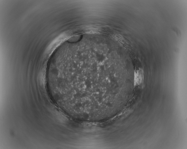 X0000115270291200911131813