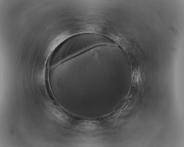 X0000115270292200911131813