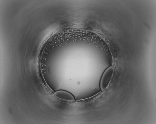 X0000115270293200911131813