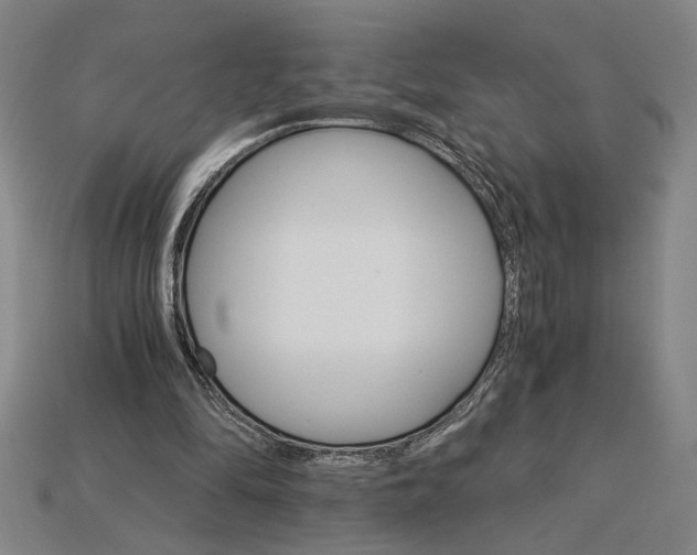 X0000115270294200911131813