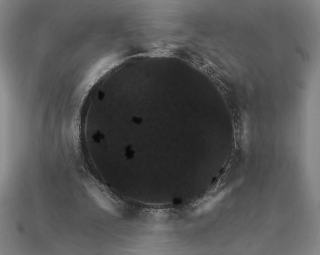 X0000115270295200911131813
