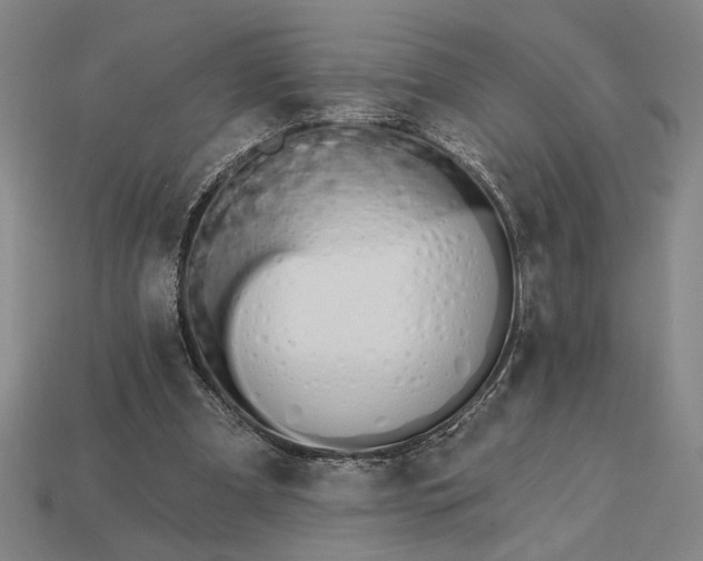 X0000115270297200911131813
