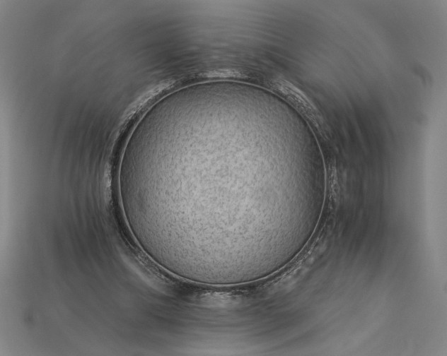 X0000115270298200911131813