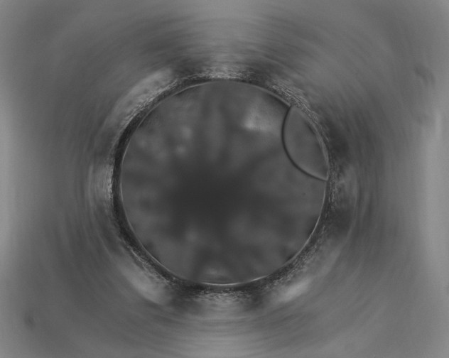 X0000115270299200911131813