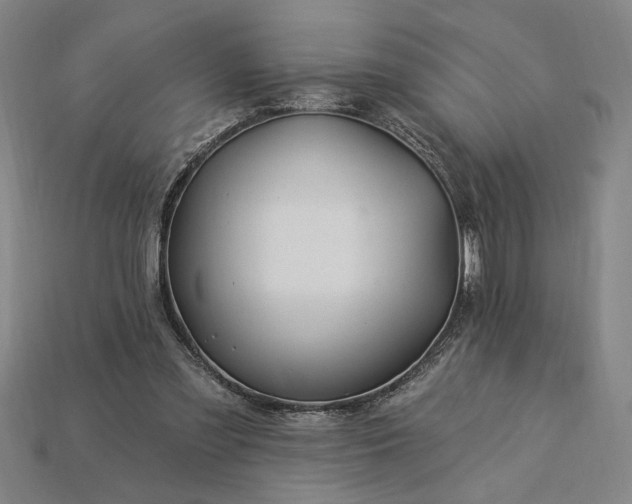 X0000115270301200911131813