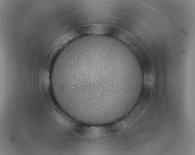 X0000115270302200911131813